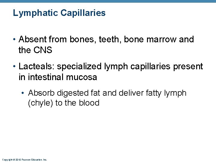 Lymphatic Capillaries • Absent from bones, teeth, bone marrow and the CNS • Lacteals: