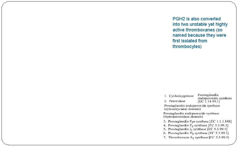 PGH 2 is also converted into two unstable yet highly active thromboxanes (so named