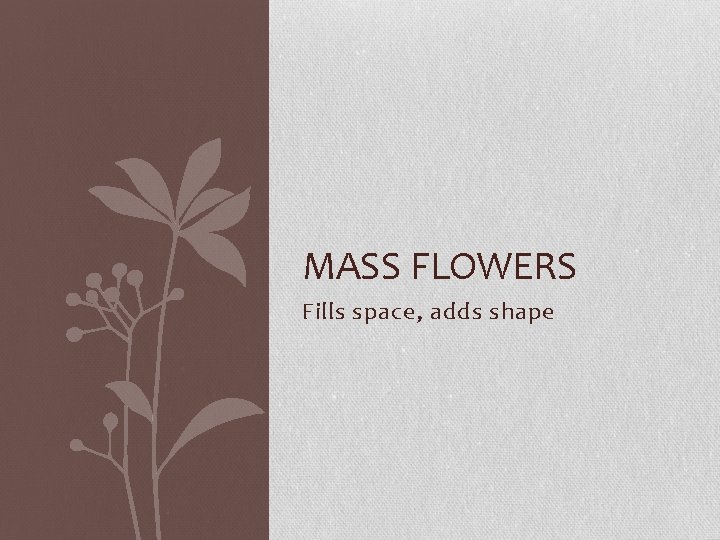 MASS FLOWERS Fills space, adds shape 