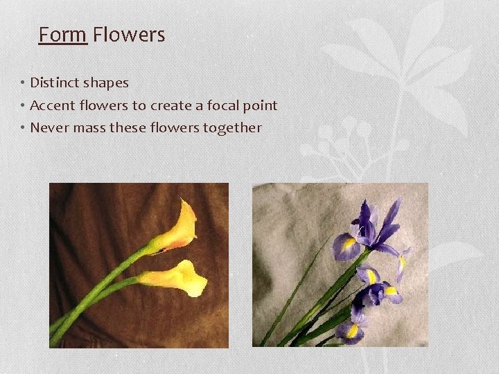 Form Flowers • Distinct shapes • Accent flowers to create a focal point •