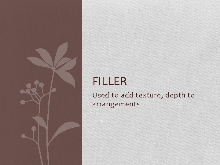 FILLER Used to add texture, depth to arrangements 