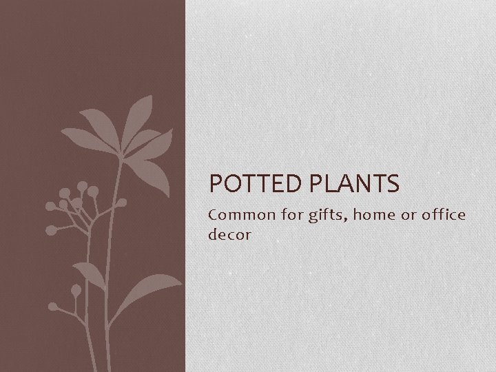 POTTED PLANTS Common for gifts, home or office decor 