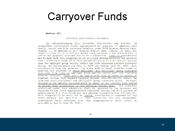Carryover Funds 11 