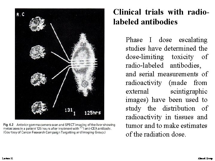 Clinical trials with radiolabeled antibodies Phase I dose escalating studies have determined the dose-limiting