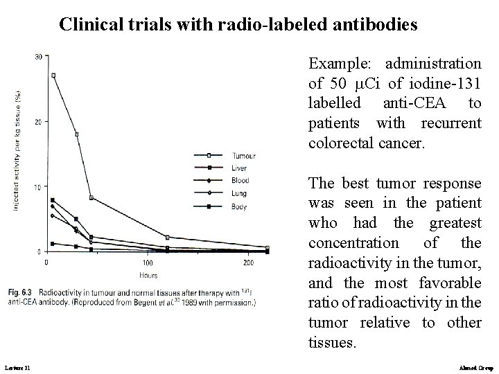 Clinical trials with radio-labeled antibodies Example: administration of 50 Ci of iodine-131 labelled anti-CEA