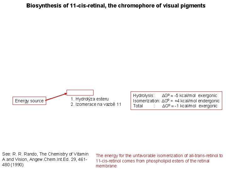 Biosynthesis of 11 -cis-retinal, the chromophore of visual pigments Energy source 1. Hydrolýza esteru