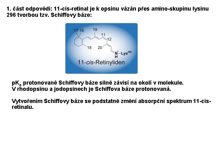 1. část odpovědi: 11 -cis-retinal je k opsinu vázán přes amino-skupinu lysinu 296 tvorbou