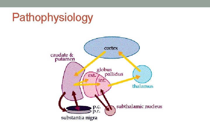 Pathophysiology 
