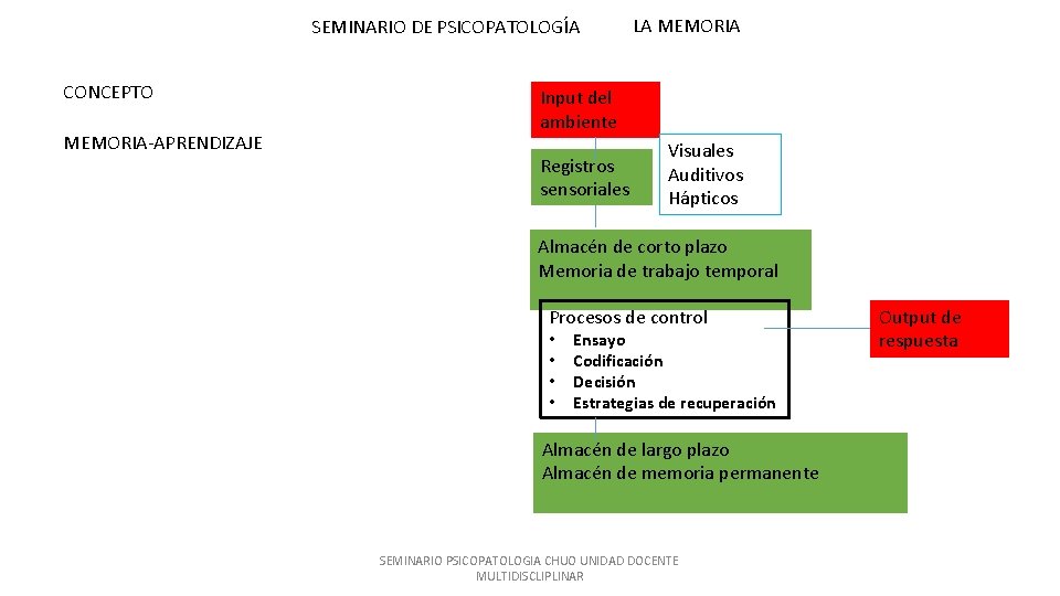 SEMINARIO DE PSICOPATOLOGÍA CONCEPTO MEMORIA-APRENDIZAJE LA MEMORIA Input del ambiente Registros sensoriales Visuales Auditivos