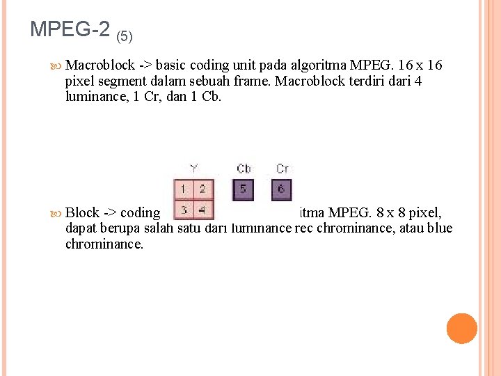 MPEG-2 (5) Macroblock -> basic coding unit pada algoritma MPEG. 16 x 16 pixel