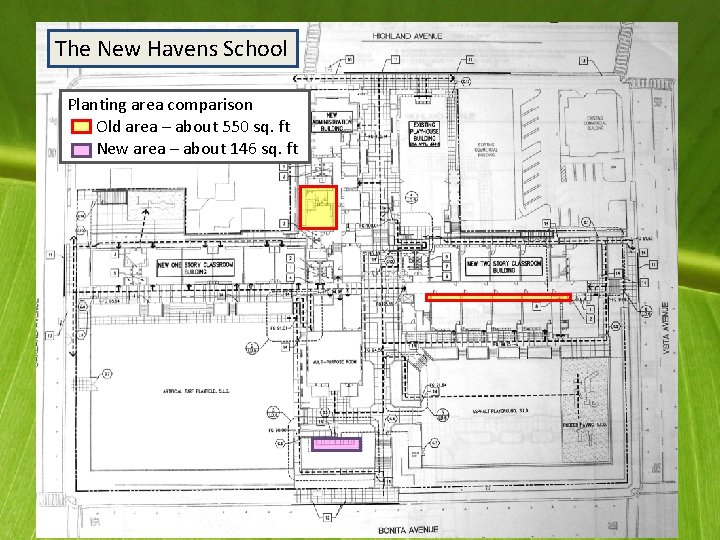 The New Havens School Planting area comparison Old area – about 550 sq. ft