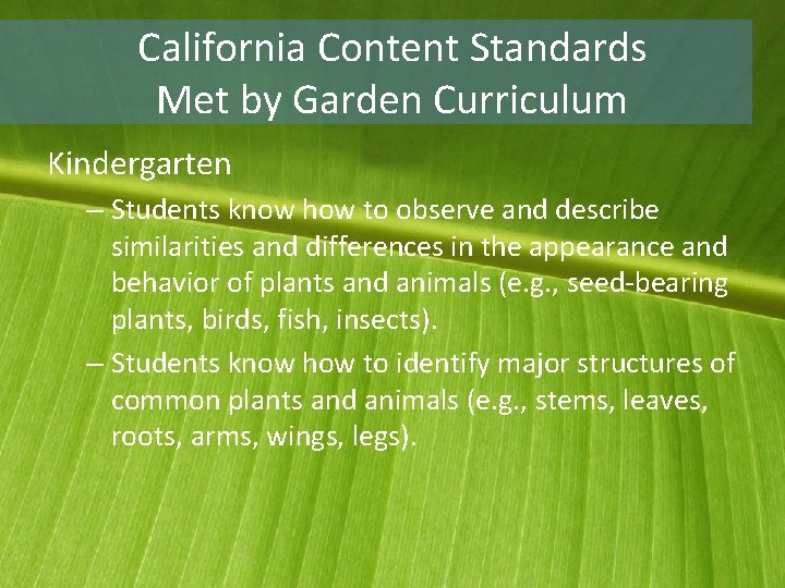 California Content Standards Met by Garden Curriculum Kindergarten – Students know how to observe