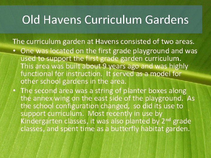 Old Havens Curriculum Gardens The curriculum garden at Havens consisted of two areas. •