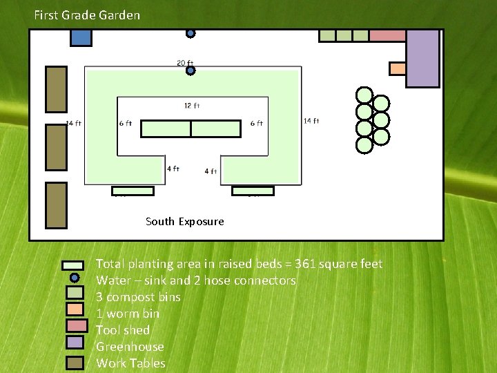 First Grade Garden S South Exposure Total planting area in raised beds = 361