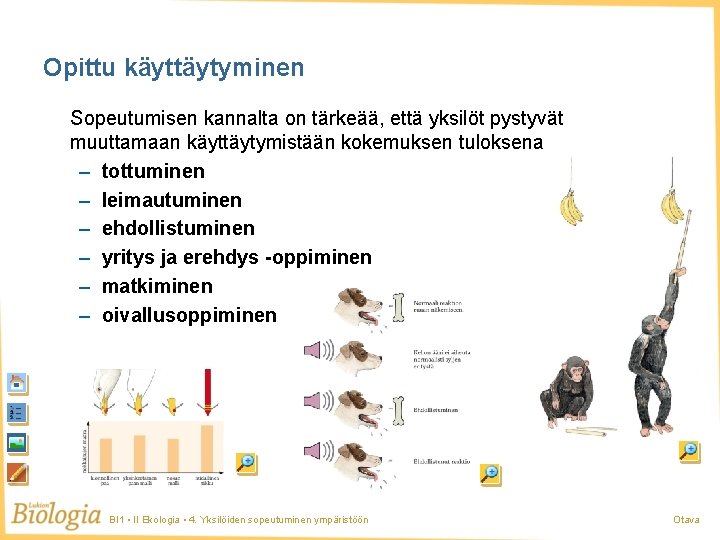 Opittu käyttäytyminen Sopeutumisen kannalta on tärkeää, että yksilöt pystyvät muuttamaan käyttäytymistään kokemuksen tuloksena –