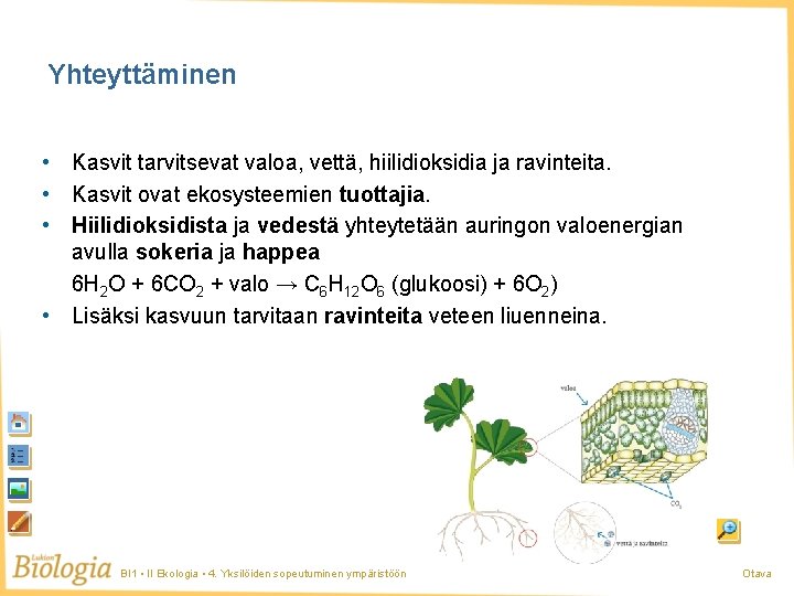 Yhteyttäminen • Kasvit tarvitsevat valoa, vettä, hiilidioksidia ja ravinteita. • Kasvit ovat ekosysteemien tuottajia.