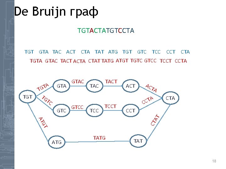 De Bruijn граф TGTACTATGTCCTA TGT GTA TAC ACT CTA TAT ATG TGT GTC TCC