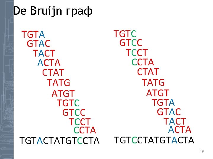 De Bruijn граф TGTA GTAC TACT ACTA CTAT TATG ATGT TGTC GTCC TCCT CCTA