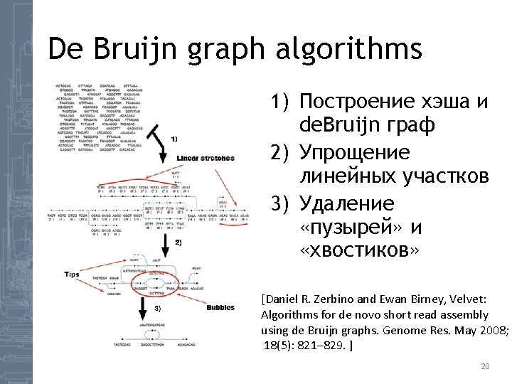 De Bruijn graph algorithms 1) Построение хэша и de. Bruijn граф 2) Упрощение линейных