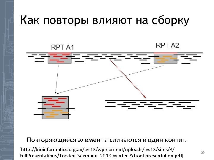 Как повторы влияют на сборку Повторяющиеся элементы сливаются в один контиг. [http: //bioinformatics. org.