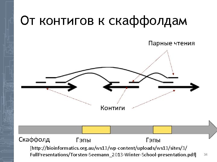 От контигов к скаффолдам Парные чтения Контиги Скаффолд Гэпы [http: //bioinformatics. org. au/ws 13/wp-content/uploads/ws