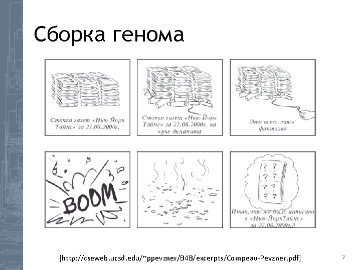 Сборка генома [http: //cseweb. ucsd. edu/~ppevzner/B 4 B/excerpts/Compeau-Pevzner. pdf] 7 