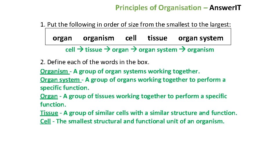 Principles of Organisation – Answer. IT 1. Put the following in order of size