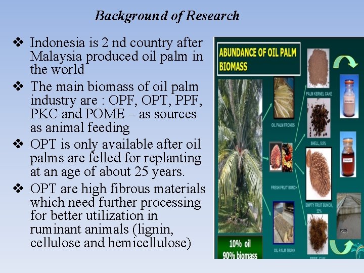 Background of Research v Indonesia is 2 nd country after Malaysia produced oil palm