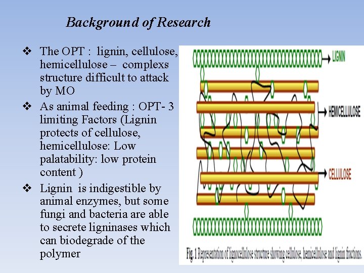 Background of Research v The OPT : lignin, cellulose, hemicellulose – complexs structure difficult