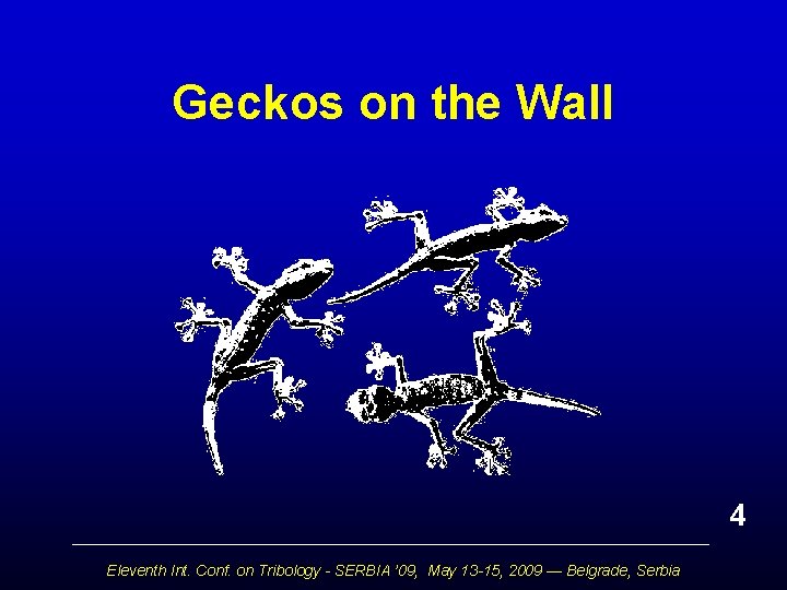 Geckos on the Wall 4 Eleventh Int. Conf. on Tribology - SERBIA ’ 09,