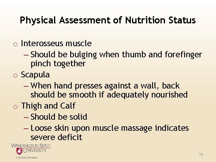 Physical Assessment of Nutrition Status o Interosseus muscle – Should be bulging when thumb