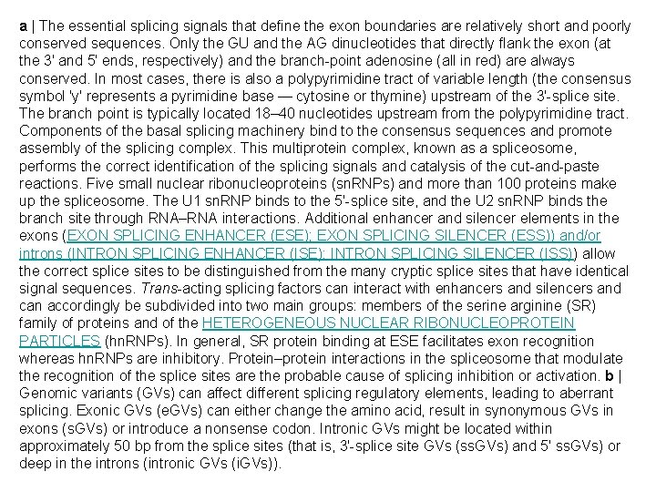 a | The essential splicing signals that define the exon boundaries are relatively short