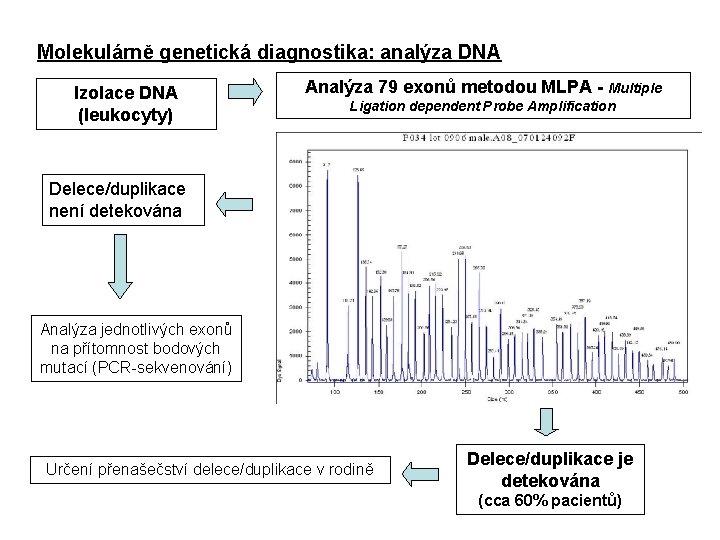 Molekulárně genetická diagnostika: analýza DNA Izolace DNA (leukocyty) Analýza 79 exonů metodou MLPA -