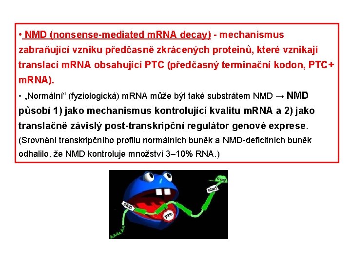  • NMD (nonsense-mediated m. RNA decay) - mechanismus zabraňující vzniku předčasně zkrácených proteinů,