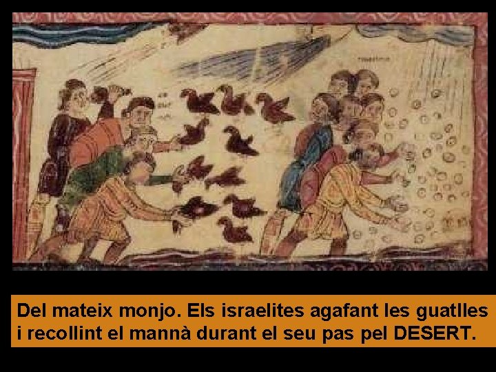 Del mateix monjo. Els israelites agafant les guatlles i recollint el mannà durant el Del mateix monjo. Els israelites agafant les guatlles i recollint el mannà durant el