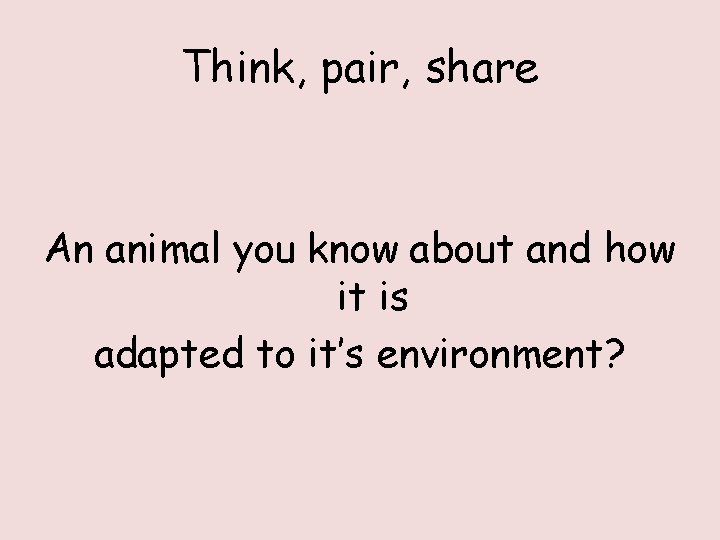 Think, pair, share An animal you know about and how it is adapted to