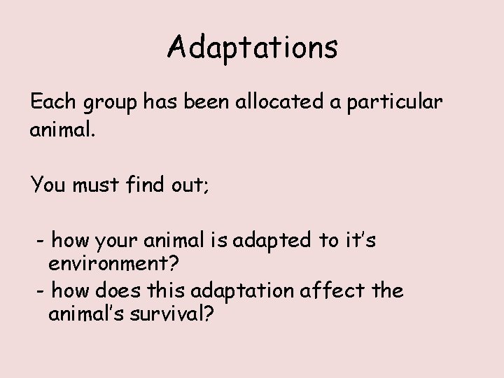 Adaptations Each group has been allocated a particular animal. You must find out; -
