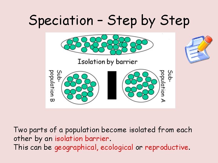 Speciation – Step by Step Two parts of a population become isolated from each