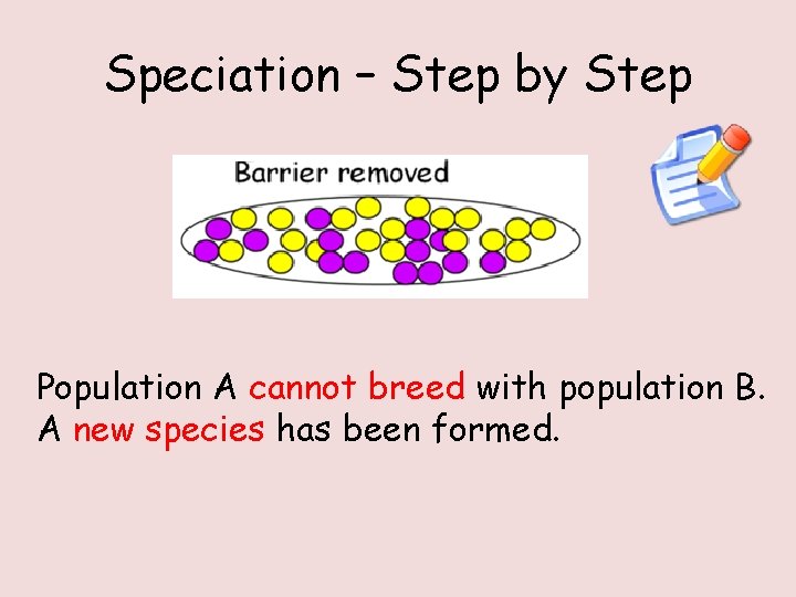 Speciation – Step by Step Population A cannot breed with population B. A new