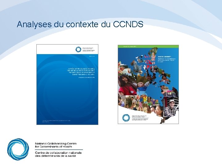 Analyses du contexte du CCNDS 