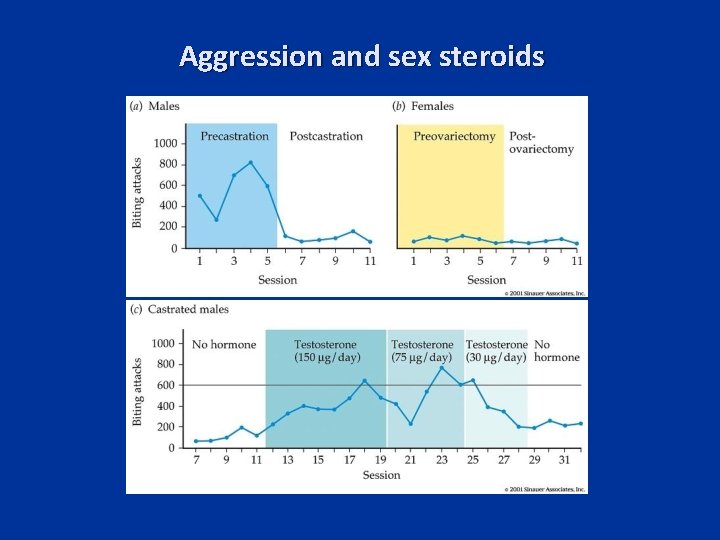 Aggression and sex steroids 