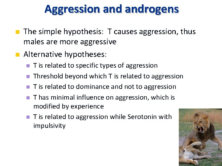 Aggression androgens n n The simple hypothesis: T causes aggression, thus males are more