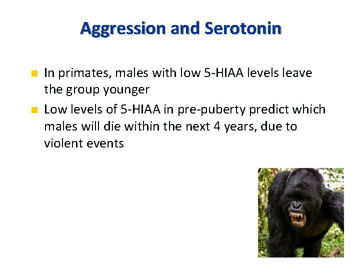 Aggression and Serotonin n n In primates, males with low 5 -HIAA levels leave