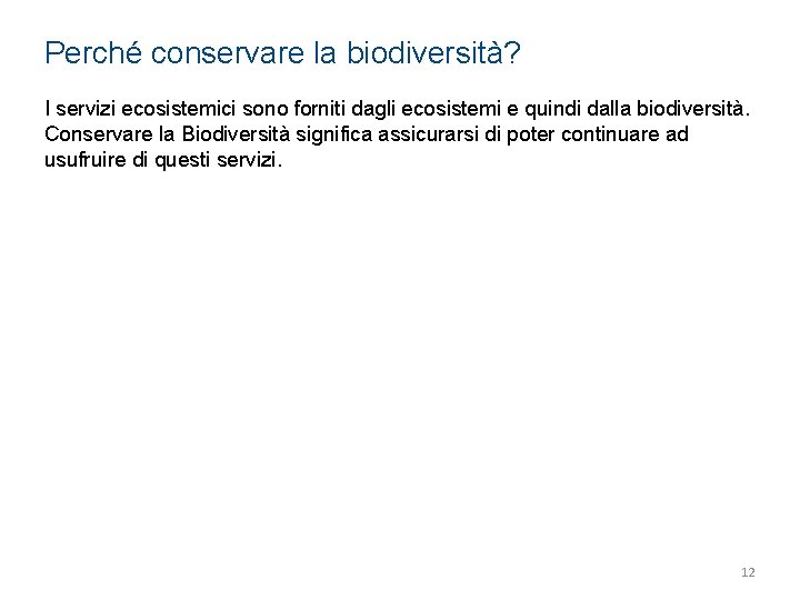 Perché conservare la biodiversità? I servizi ecosistemici sono forniti dagli ecosistemi e quindi dalla