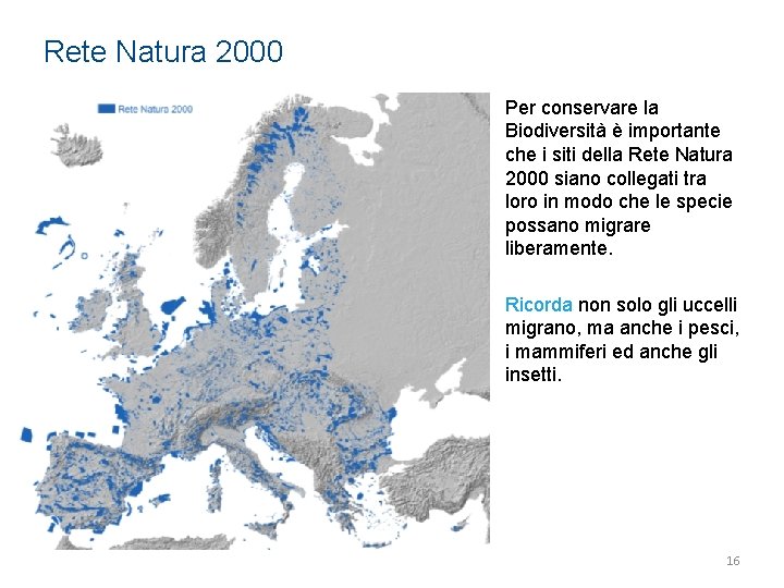 Rete Natura 2000 Per conservare la Biodiversità è importante che i siti della Rete