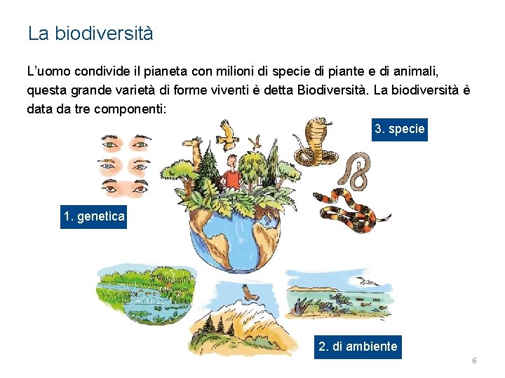 La biodiversità L’uomo condivide il pianeta con milioni di specie di piante e di