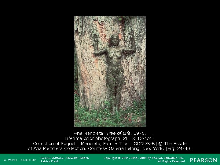 Ana Mendieta. Tree of Life. 1976. Lifetime color photograph. 20" × 13 -1⁄4". Collection