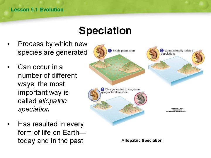 Lesson 5. 1 Evolution Speciation • Process by which new species are generated •