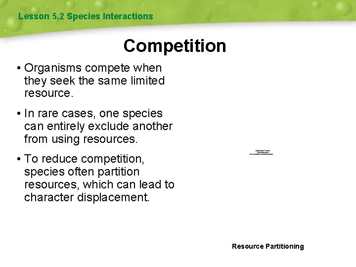 Lesson 5. 2 Species Interactions Competition • Organisms compete when they seek the same