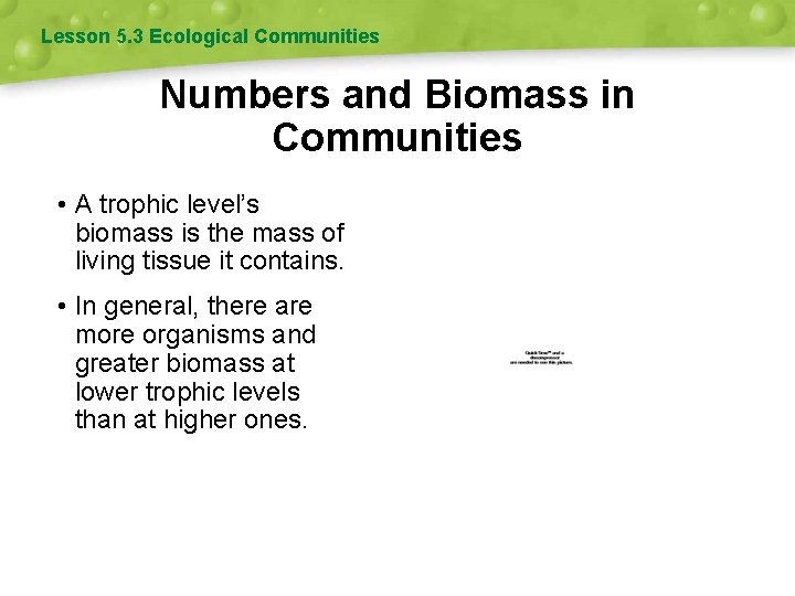 Lesson 5. 3 Ecological Communities Numbers and Biomass in Communities • A trophic level’s